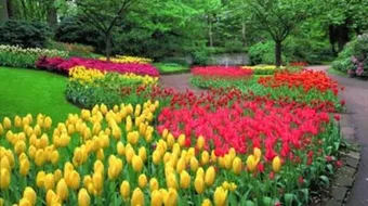 مظاهر فصل الربيع