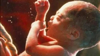 مراحل نمو الجنين في الشهر الخامس