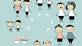 مراحل نمو الإنسان