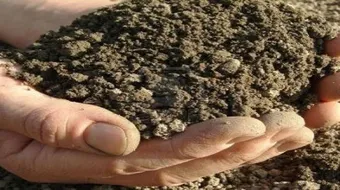 مراحل تشكل التربة