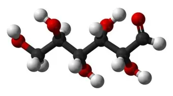 مراحل هدم حمض البيروفيك