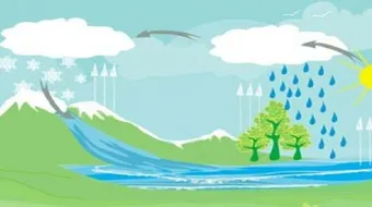 مراحل دورة الماء