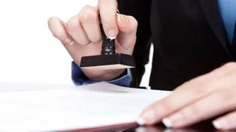 خطوات إنشاء شركة