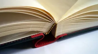 عناصر القصة