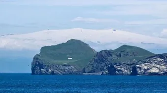 جزيرة غريبة