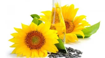 فوائد زيت دوار الشمس