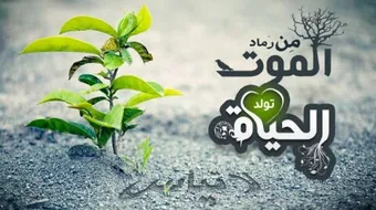 سنن الله في الكون