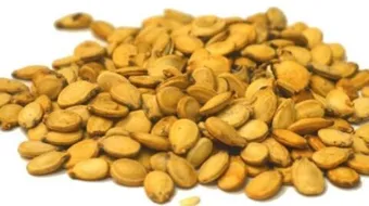 فوائد وأضرار اللب السوبر