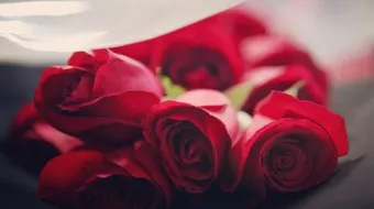 كلمات حب حلوه