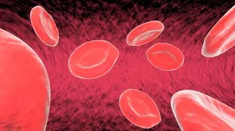 أعراض بيتا ثلاسيميا