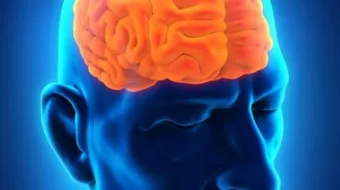 أعراض مرض سرطان الدماغ