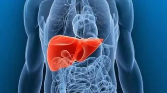 أعراض ارتفاع إنزيمات الكبد