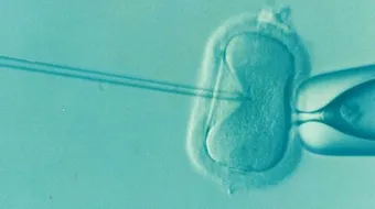 أعراض الحمل بالحقن المجهري