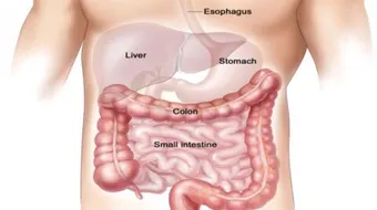 أعراض القولون الهضمي