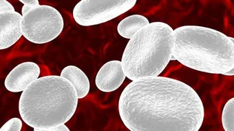 أعراض نقص كريات الدم البيضاء