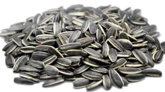 فوائد اللب السوري للتخسيس