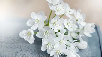 كلام عن التواضع