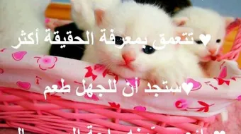 كلام عن الحياة فيس بوك