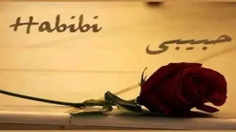 كلام عن حبيبي