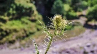 أحاديث عن الصبر