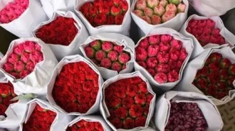 كلام عن الورود