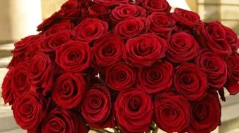 كلام عن الورد