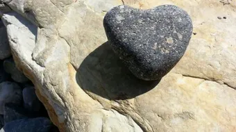 حديث عن قسوة القلب