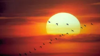 كلام عن الشمس