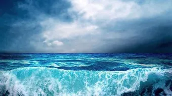 كلام عن البحر