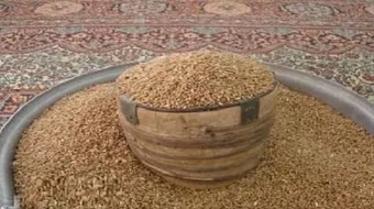 مقدار زكاة الفطر بالكيلو