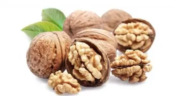 فوائد وأضرار عين الجمل