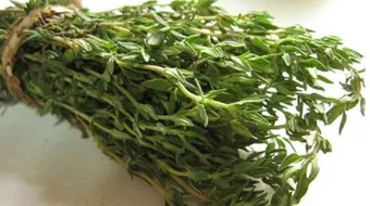 فوائد وأضرار الزعتر