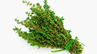 فوائد الزعتر وأضراره