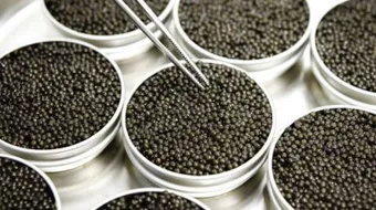 فوائد ماسك الكافيار للشعر