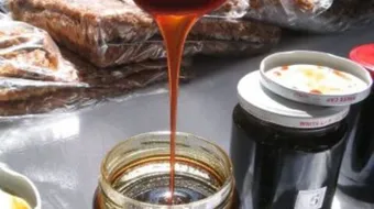 فوائد دبس الخروب