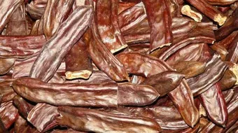 فوائد الخروب للمعدة