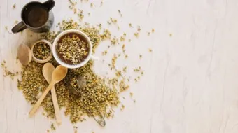 فوائد شيح البابونج للشعر