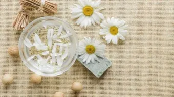 فوائد زهرة الكاموميل للبشرة