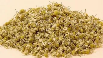 فوائد شاي البابونج للرجيم