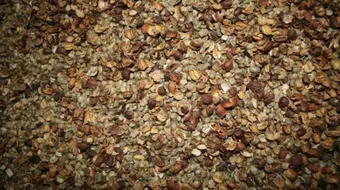 فوائد قشر البن