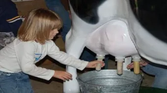 فوائد لبن البقر