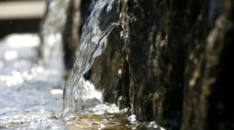 فوائد شرب ماء زمزم