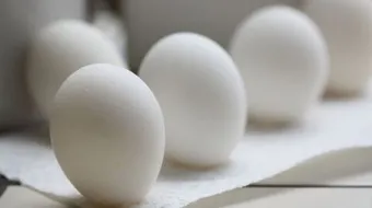 فوائد البيض لتطويل الشعر