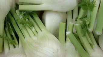 فوائد الشمر للرجيم