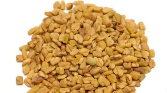 فوائد الحلبة للشعر