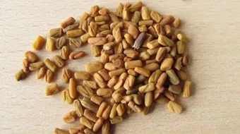 فوائد زيت الحلبة لزيادة الوزن