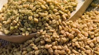 فوائد حبوب الحلبة للصدر