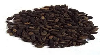 فوائد عشبة الهليلج