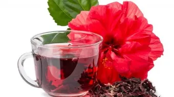 فوائد الكركديه للحامل