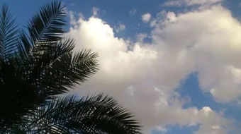 فوائد العلم الشرعي